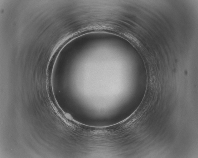 X0000055990894200509021635