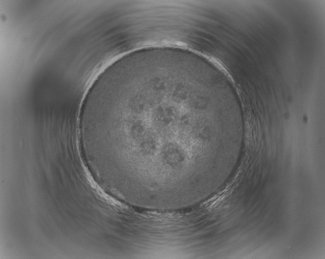 X0000055990895200509021635