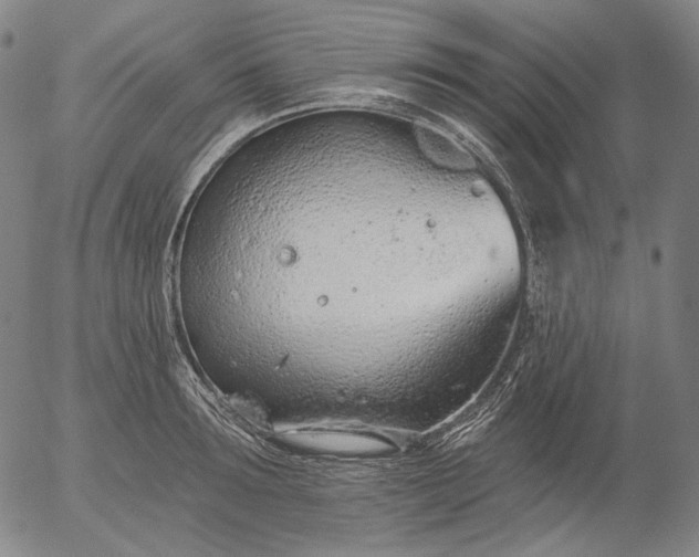 X0000055990899200509021635