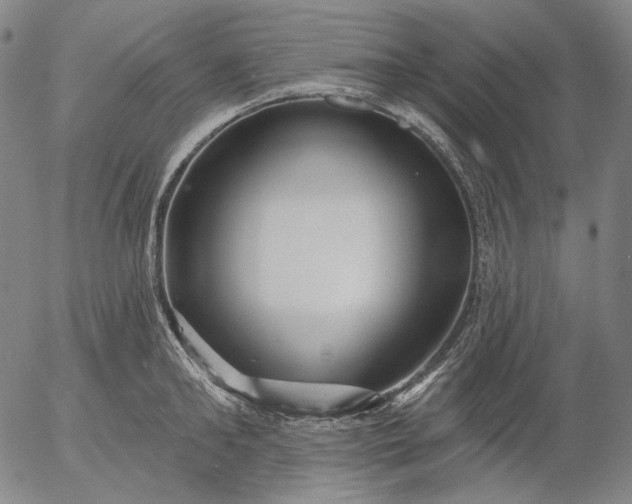 X0000055990902200509021635