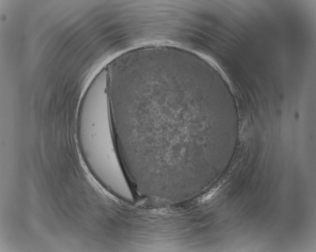 X0000055990903200509021635