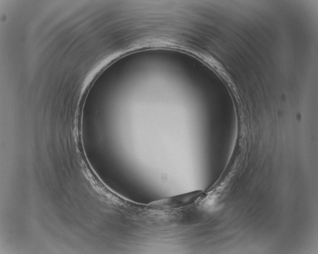 X0000055990904200509021635