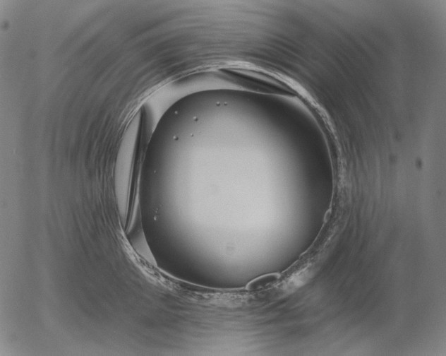 X0000055990905200509021635