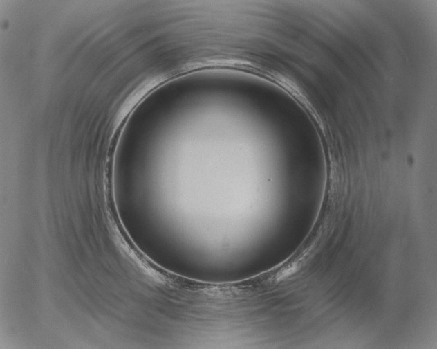 X0000055990906200509021635