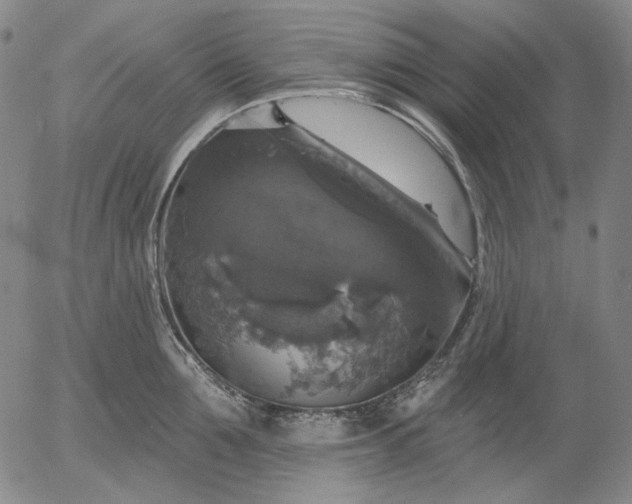 X0000055990907200509021635