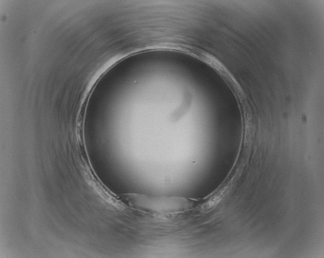 X0000055990908200509021635