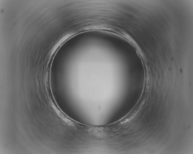 X0000055990909200509021635