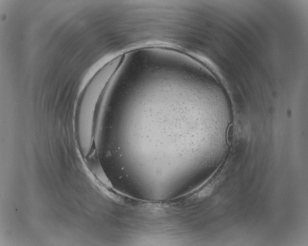 X0000055990910200509021635