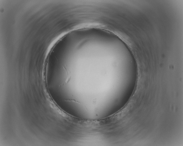 X0000055990912200509021635