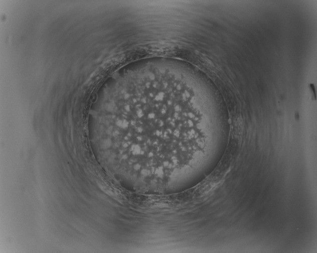 X0000055990913200509021634