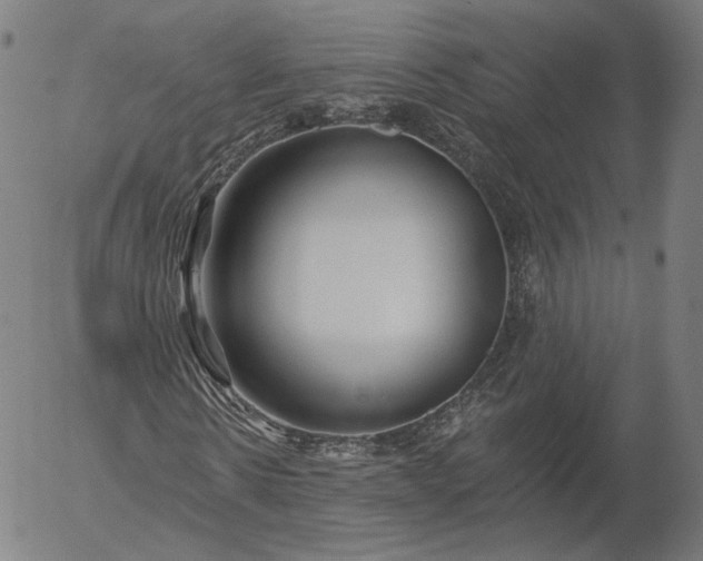 X0000055990914200509021634