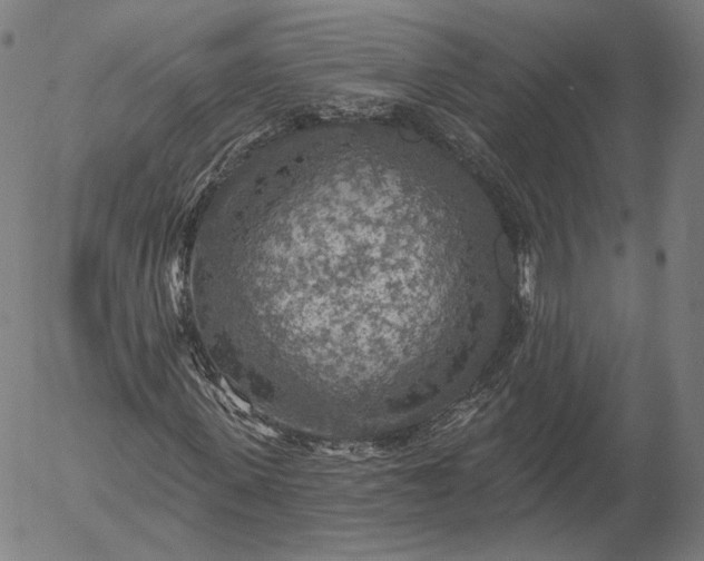 X0000055990915200509021634