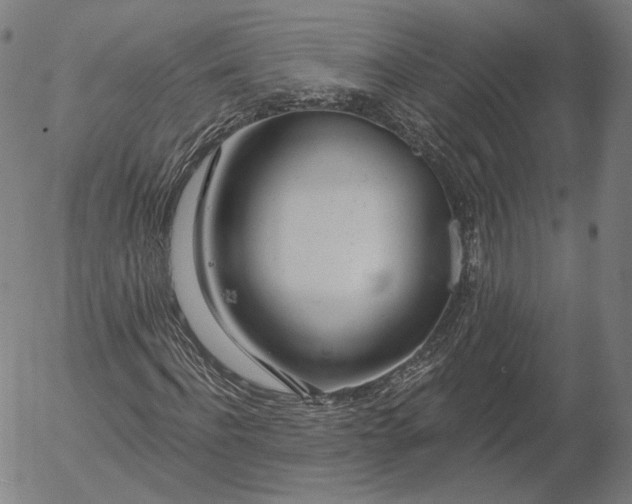 X0000055990916200509021634