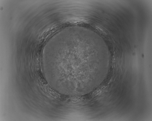 X0000055990917200509021634