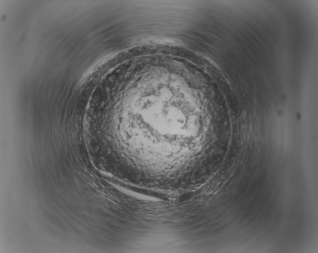 X0000055990919200509021634