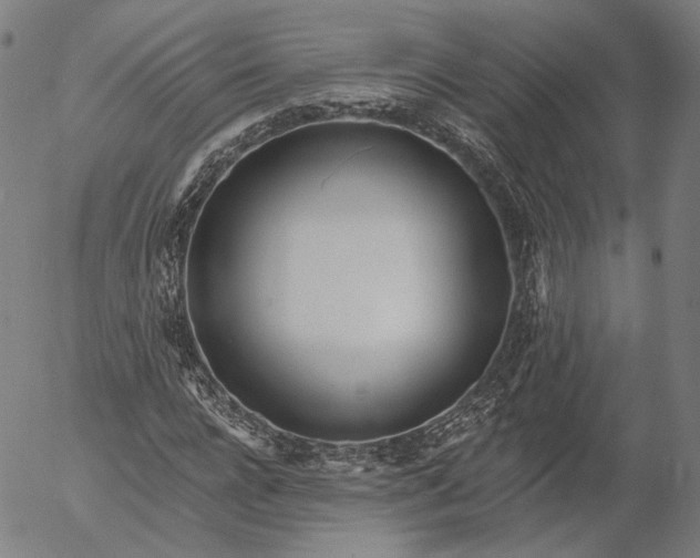 X0000055990920200509021634