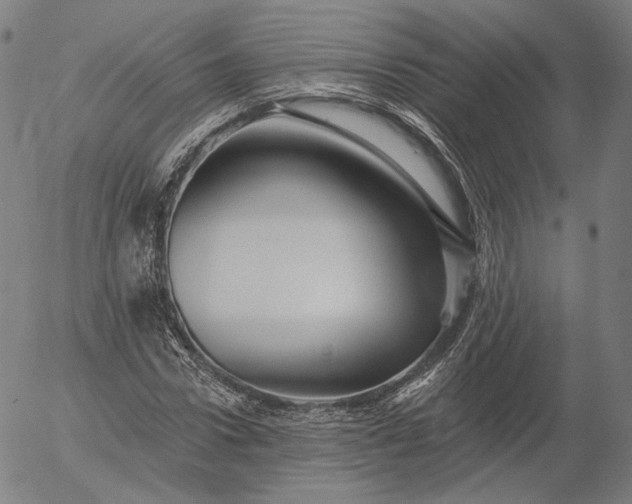 X0000055990922200509021634