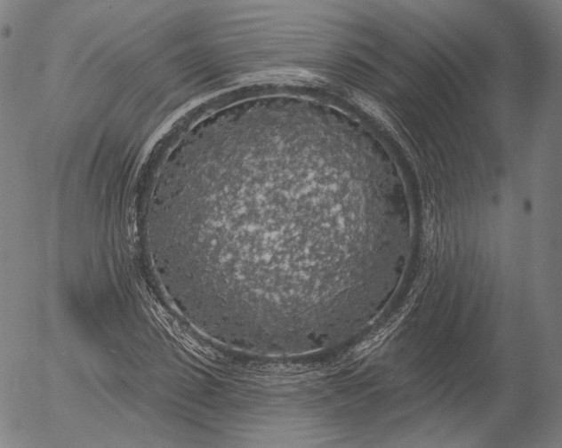 X0000055990923200509021634