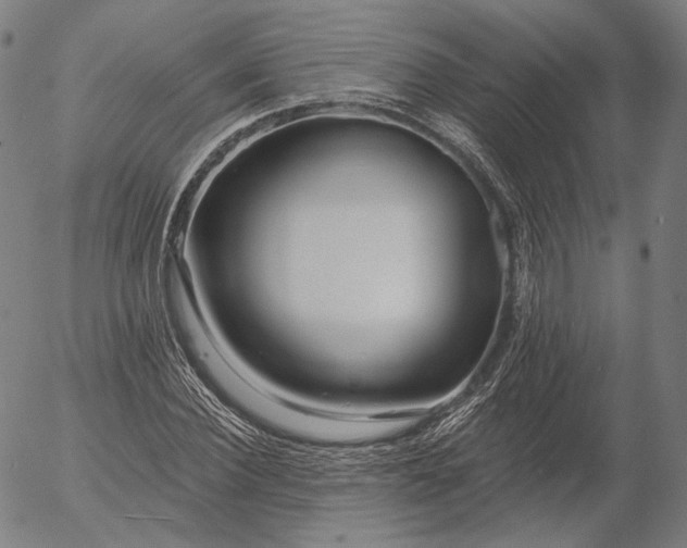 X0000055990924200509021634