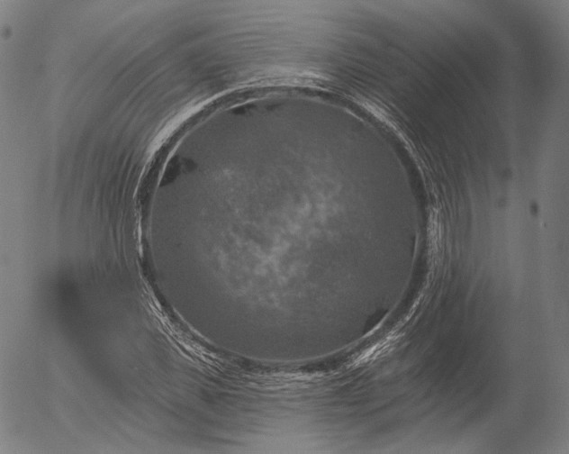 X0000055990925200509021634