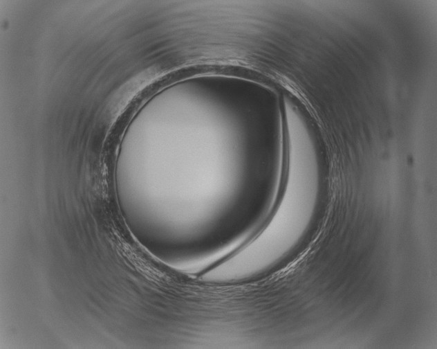 X0000055990926200509021634