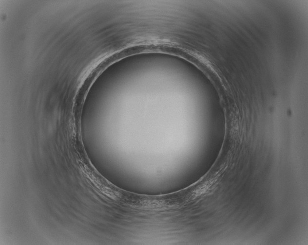 X0000055990927200509021634