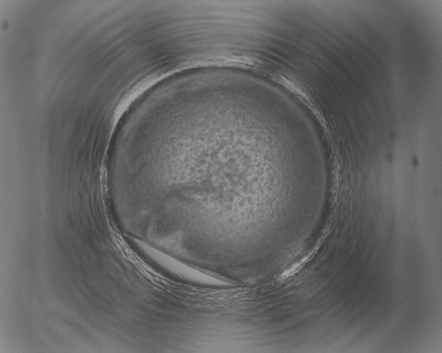 X0000055990928200509021634