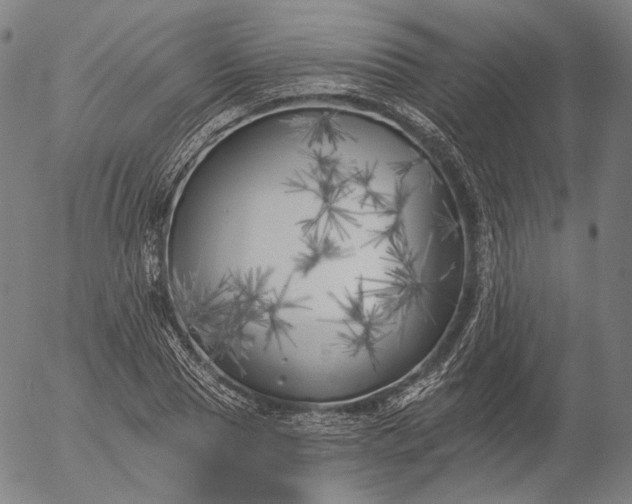 X0000055990929200509021634