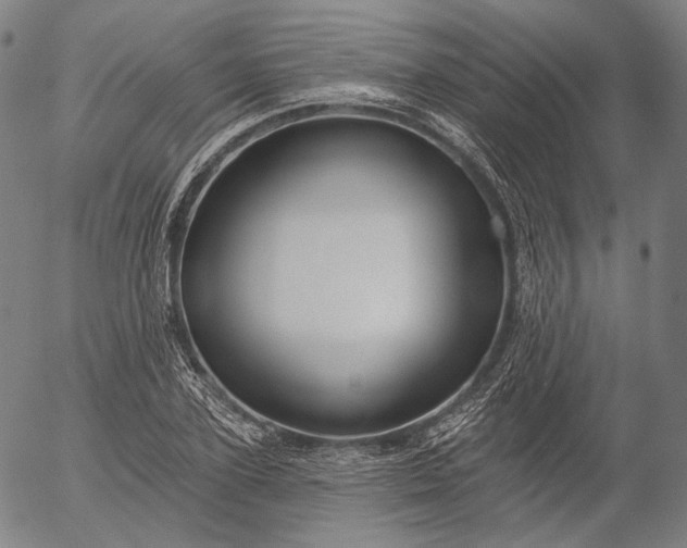 X0000055990931200509021634