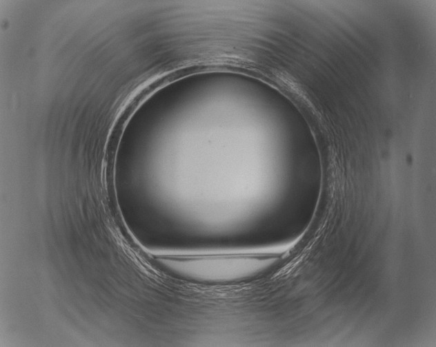 X0000055990932200509021634