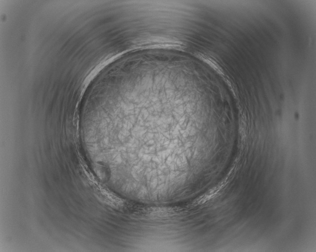 X0000055990933200509021634