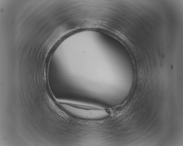 X0000055990934200509021634