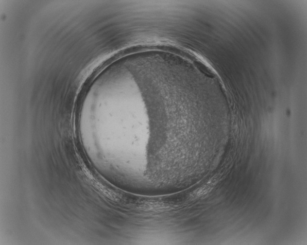 X0000055990935200509021634