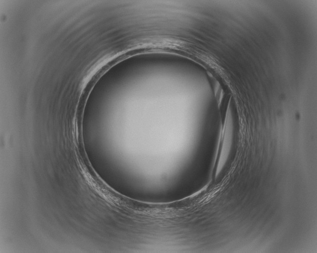 X0000055990936200509021634