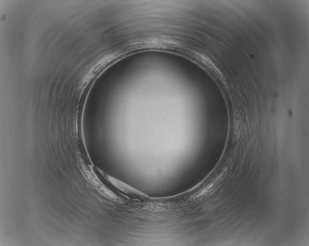 X0000055990938200509021634