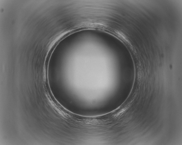 X0000055990940200509021634