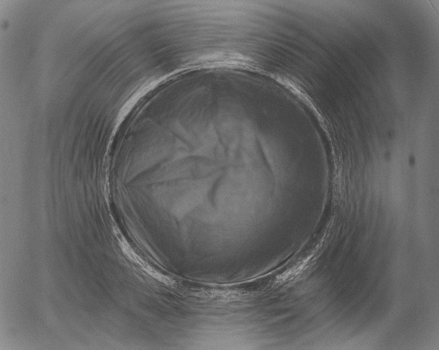 X0000055990941200509021635