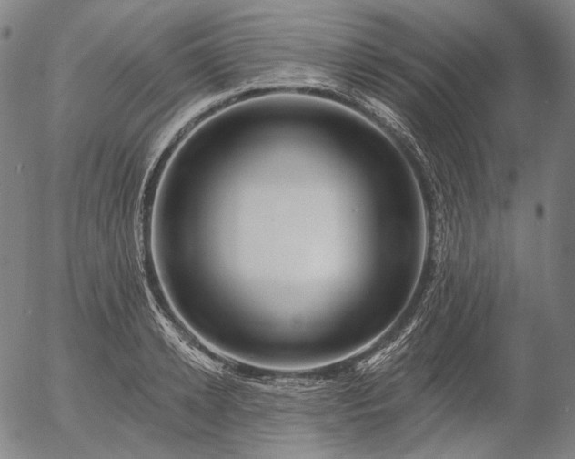 X0000055990942200509021635