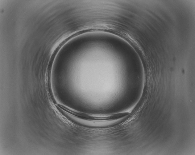 X0000055990944200509021635