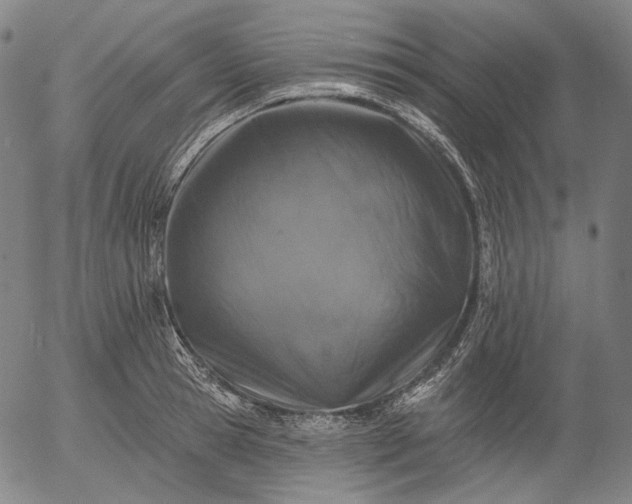 X0000055990945200509021635