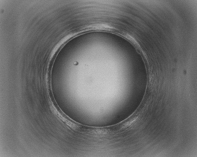 X0000055990947200509021635