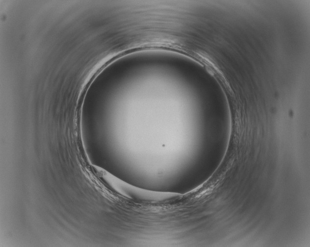 X0000055990948200509021635