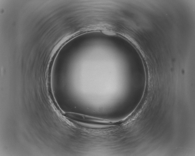 X0000055990949200509021635