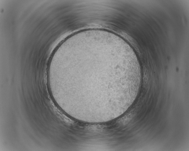 X0000055990950200509021635