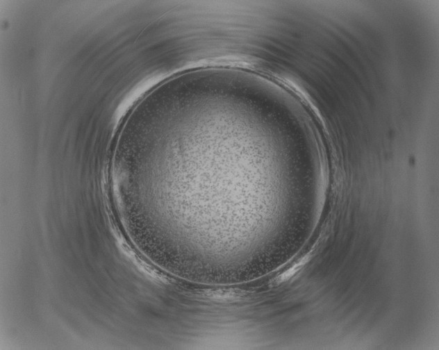 X0000055990952200509021635