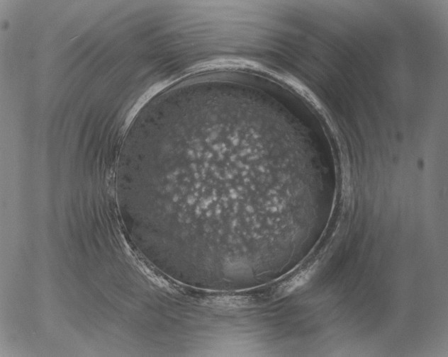 X0000055990953200509021635