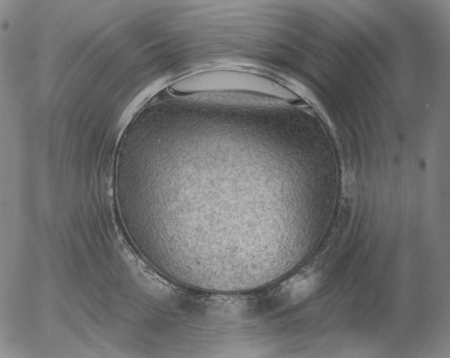 X0000055990954200509021635