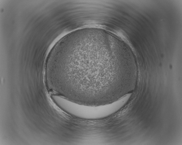 X0000055990955200509021635