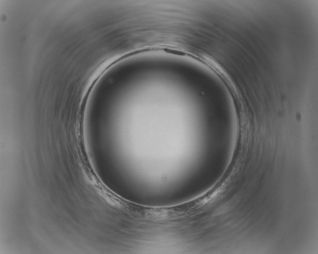 X0000055990956200509021635