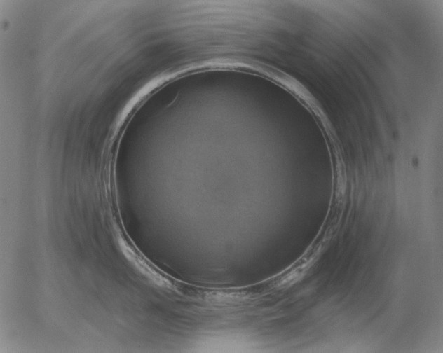 X0000055990958200509021635